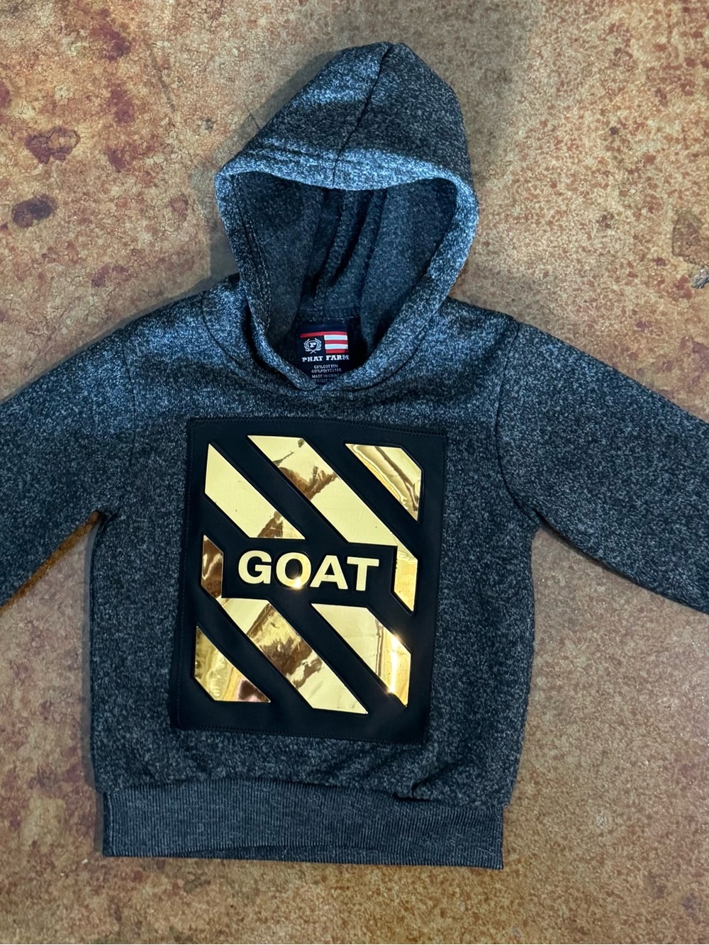 Phat Farm GOAT Gold-Accent Hooded Sweatshirt for Kids